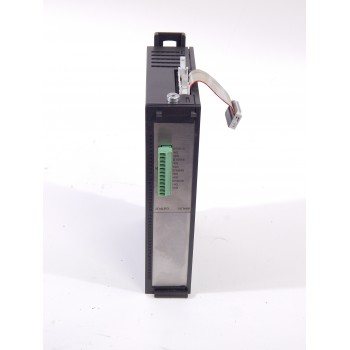 Module FAGOR RIO70 4AO/ MOD